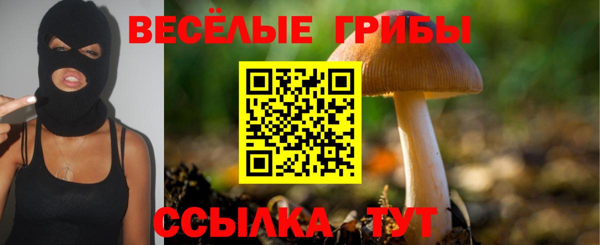 Галлюциногенные грибы Magic Shrooms Сертолово
